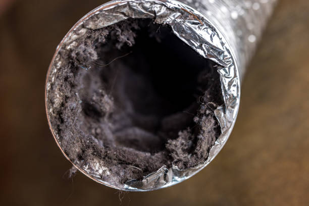 Best Residential Air Duct Cleaning in Herlong, CA